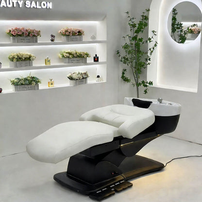 Electric Reclining Shampoo Bed